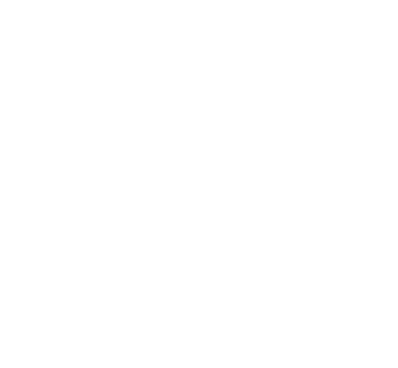 Navigator